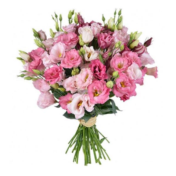 Bouquet of pink eustoma
