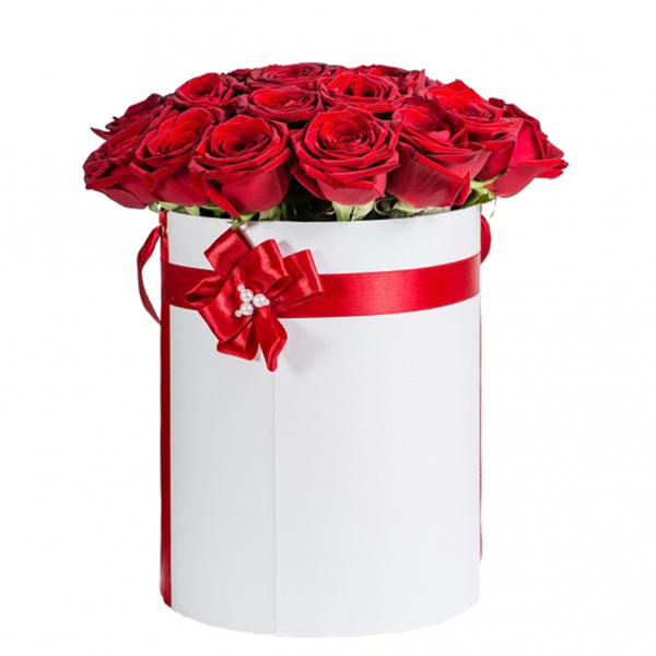 Boxed 25 rote Rosen